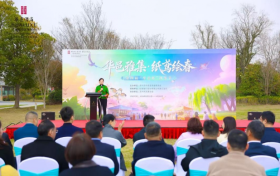 华邑雅集·纸鸢绘春，助力苏州文旅经济发展